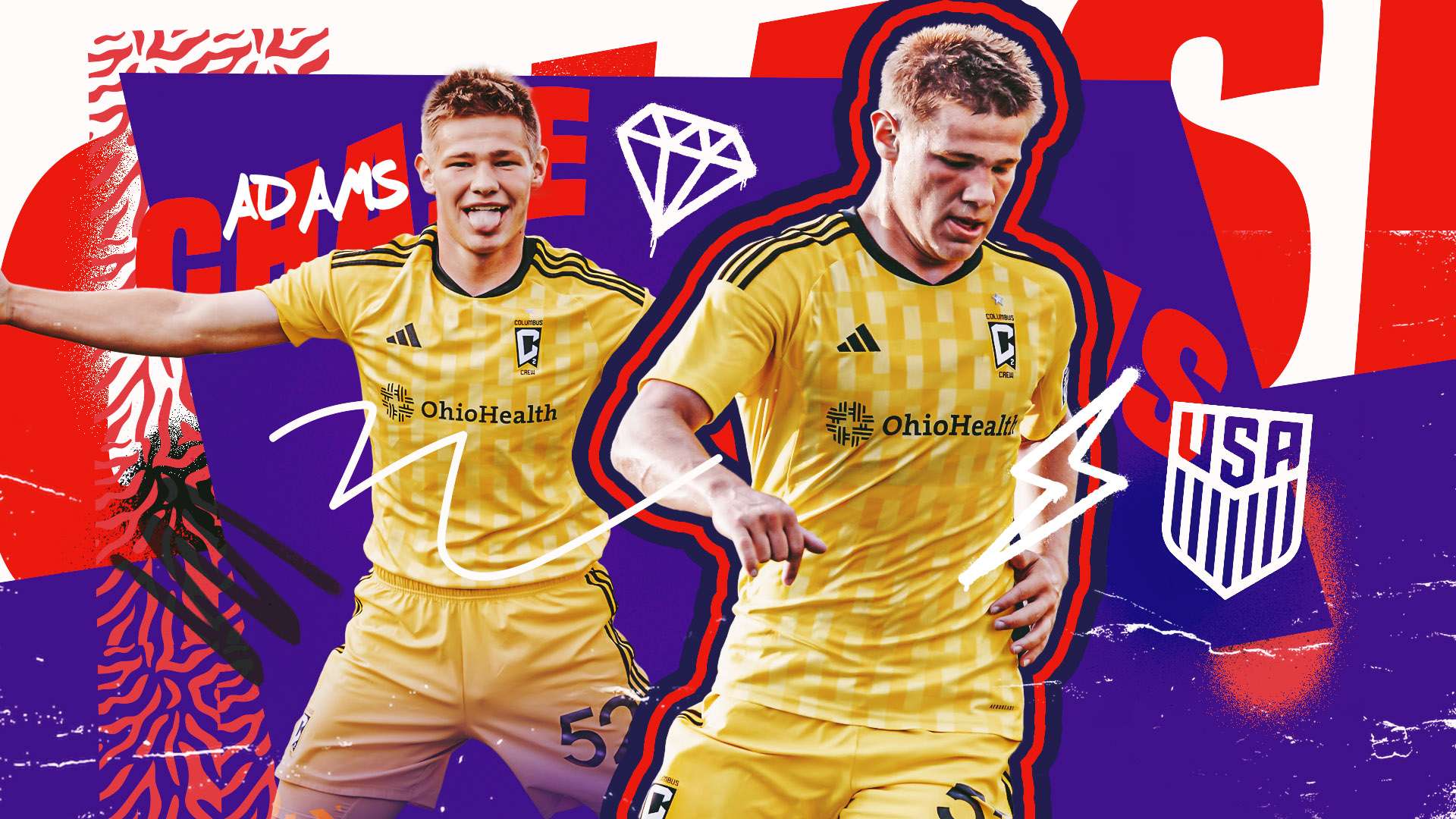 往往选择投 往往选择投