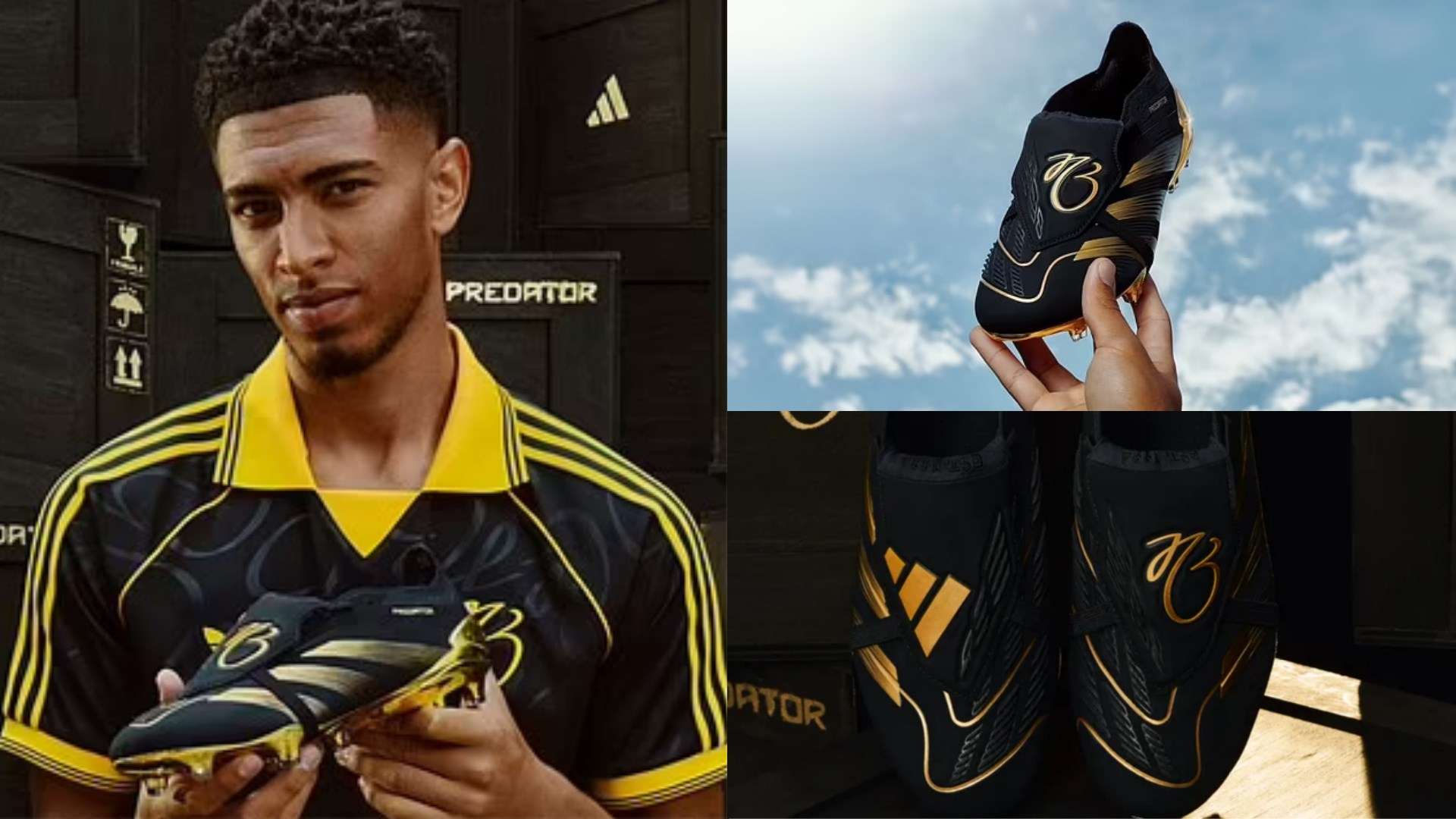 展产生广泛 展产生广泛