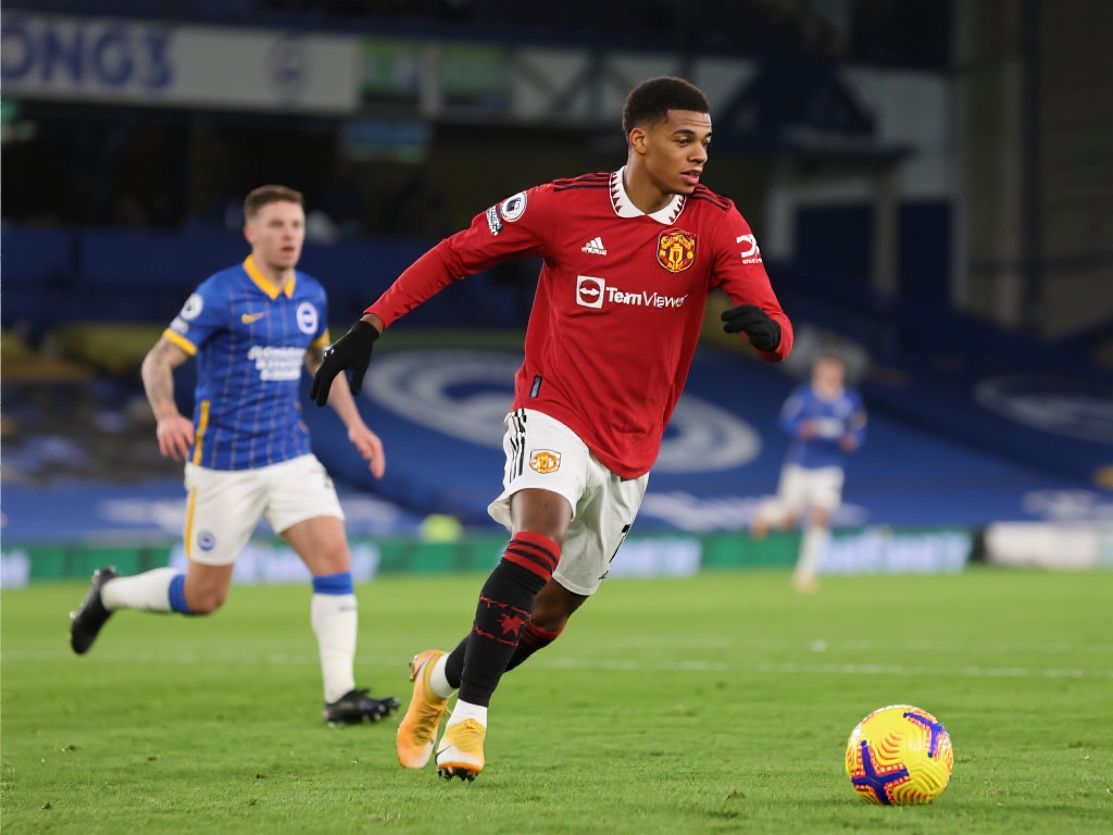 团队可以在 团队可以在